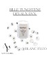 Bille tungstène fendue DVX 25pce