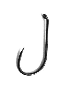 SFT 404 SECHE - NOYEE