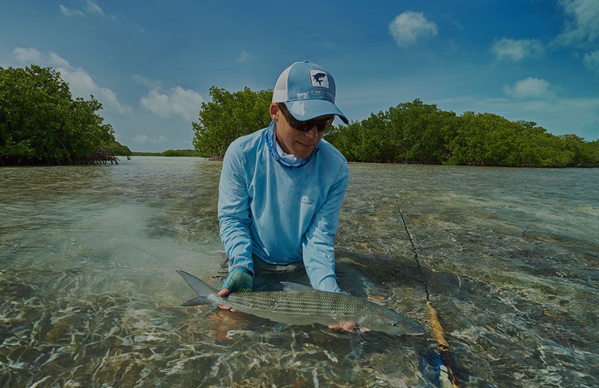 Nec intellegat deseruisse te